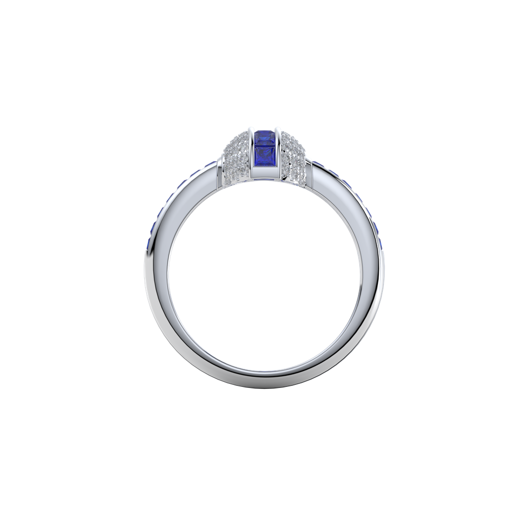 R-495.812.png
